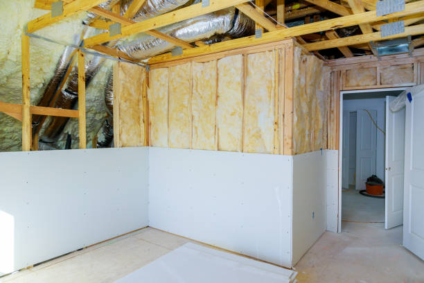 Best Cellulose Insulation  in Stro Valley, CA