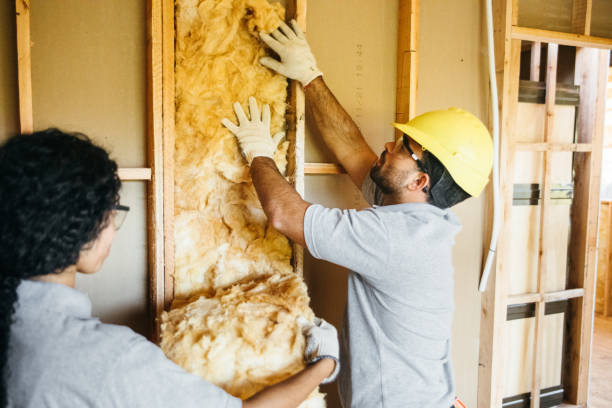 Best Garage Insulation Installation  in Stro Valley, CA