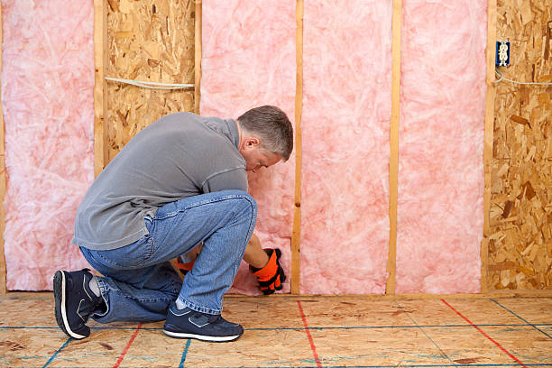 Best Home Insulation Services  in Stro Valley, CA